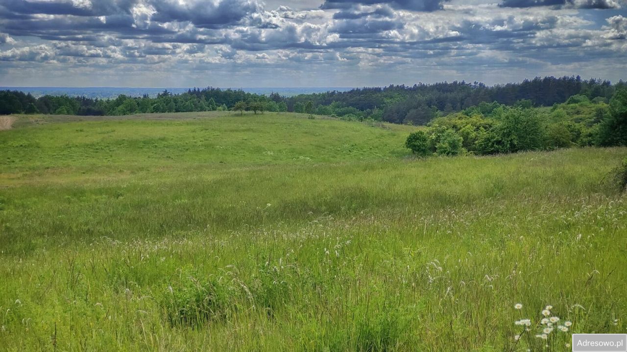 Działka rolna Łęgowo. Zdjęcie 6