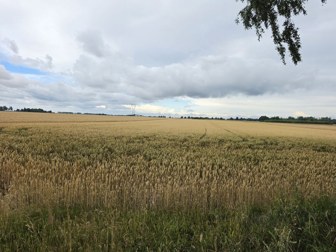 Działka rolna Bięcino. Zdjęcie 3
