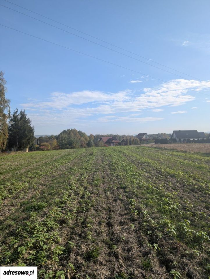 Działka budowlana Frydrychowice, ul. Górna. Zdjęcie 3