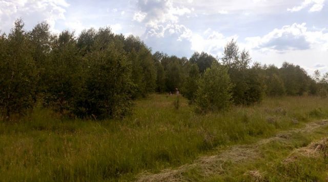 Działka rolna Dłużew. Zdjęcie 1