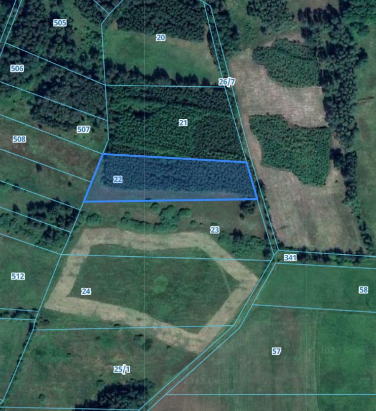 Działka leśna Łętowo. Zdjęcie 3