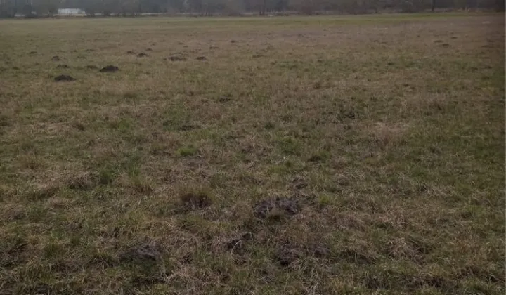 Działka rolna Ludwinowo