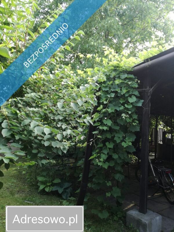 gospodarstwo, 2 pokoje Radom Śródmieście. Zdjęcie 3