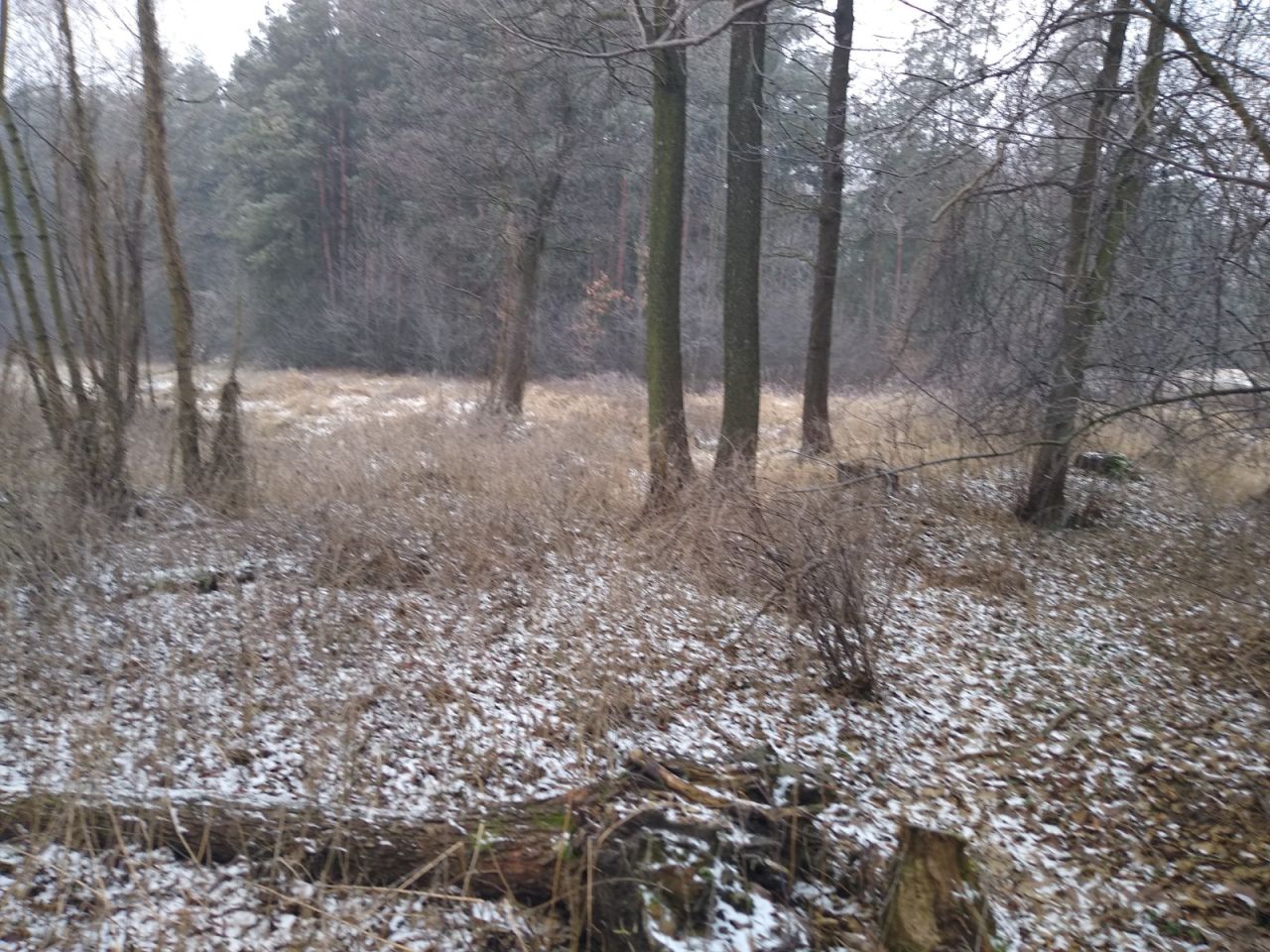 Działka rolna Odrzywół, ul. Praga. Zdjęcie 7