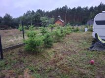 Działka rekreacyjna Kania. Zdjęcie 3