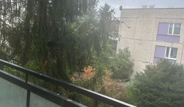 Mieszkanie 4-pokojowe Zamość