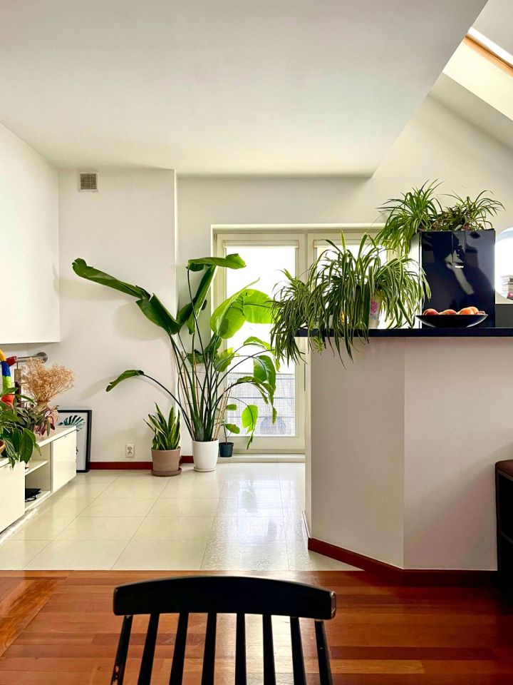 dom szeregowy, 5 pokoi Warszawa Falenica, ul. Nad Wisłą. Zdjęcie 10