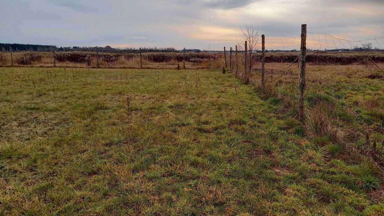Działka budowlana Serock. Zdjęcie 2