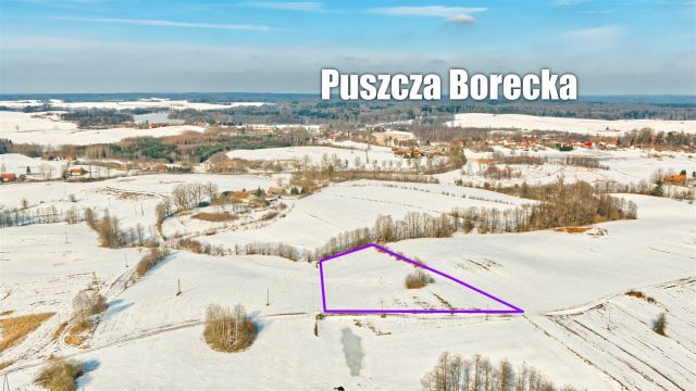 Działka rolna Orłowo. Zdjęcie 4