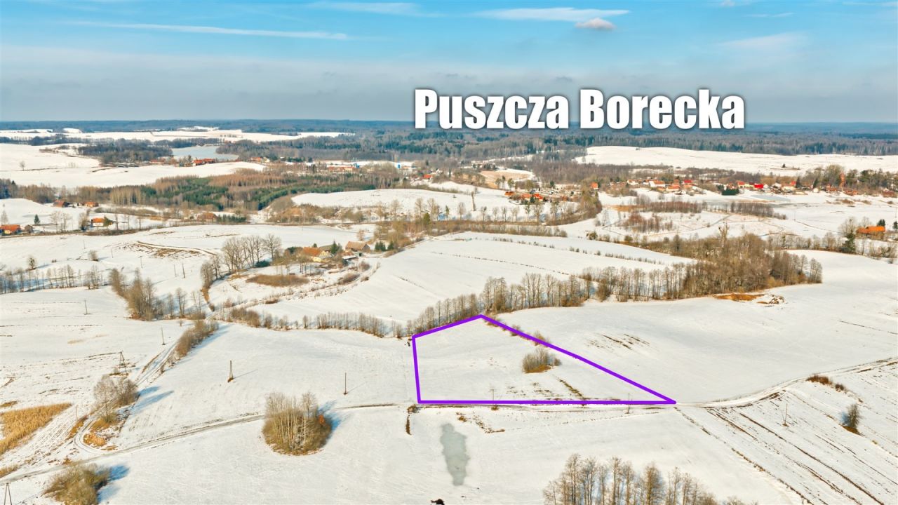 Działka rolna Orłowo. Zdjęcie 4