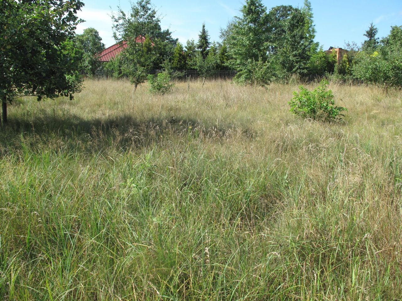 Działka budowlana Udrzyn. Zdjęcie 5