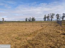 Działka budowlana Smołdziński Las. Zdjęcie 2