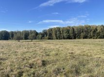 Działka rolna Jedlina. Zdjęcie 2