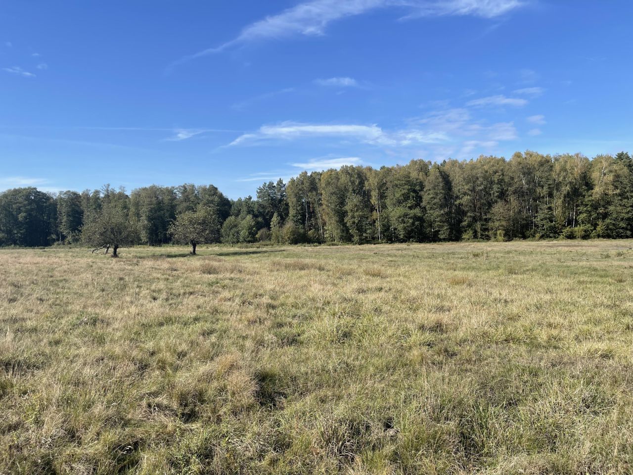 Działka rolna Jedlina. Zdjęcie 3