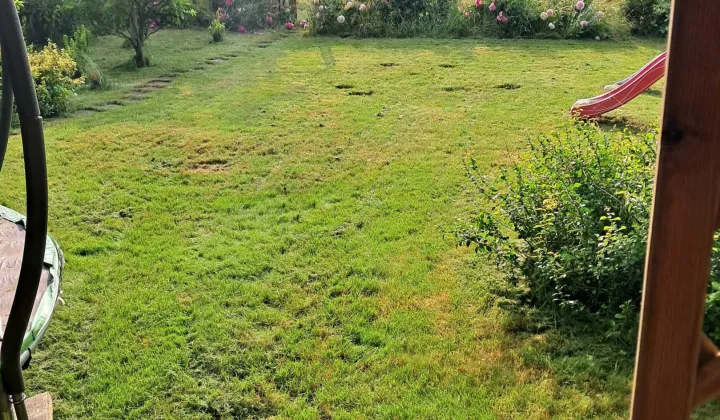 Działka rod Lublin, ul. Wapienna