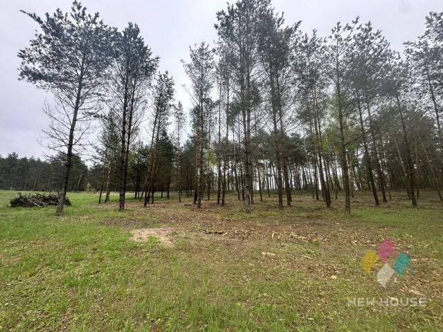 Działka budowlana Tałty. Zdjęcie 21