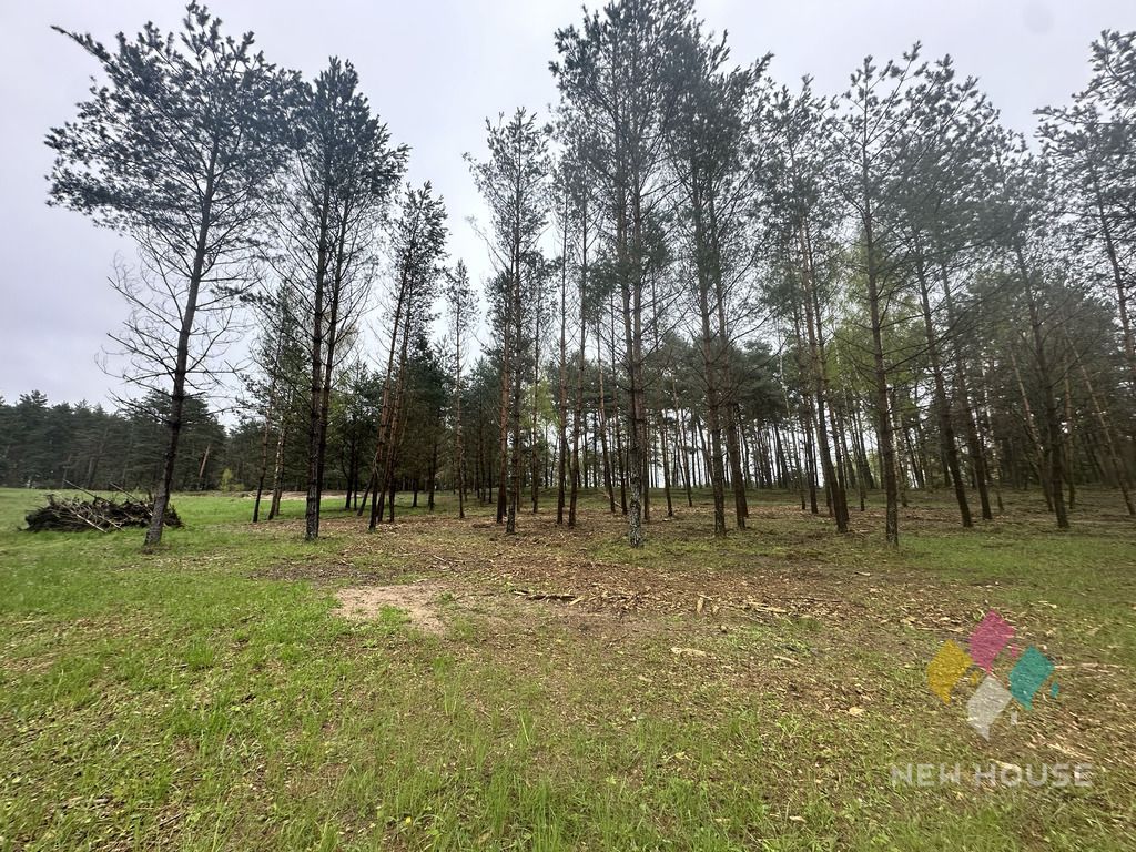 Działka budowlana Tałty. Zdjęcie 21