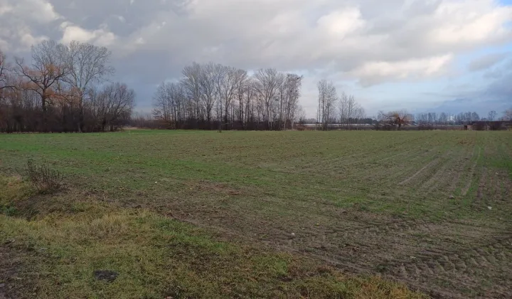 Działka rolna Kozery Nowe, ul. Popławska