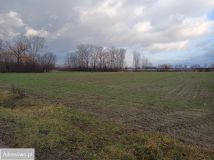Działka rolna Kozery Nowe, ul. Popławska