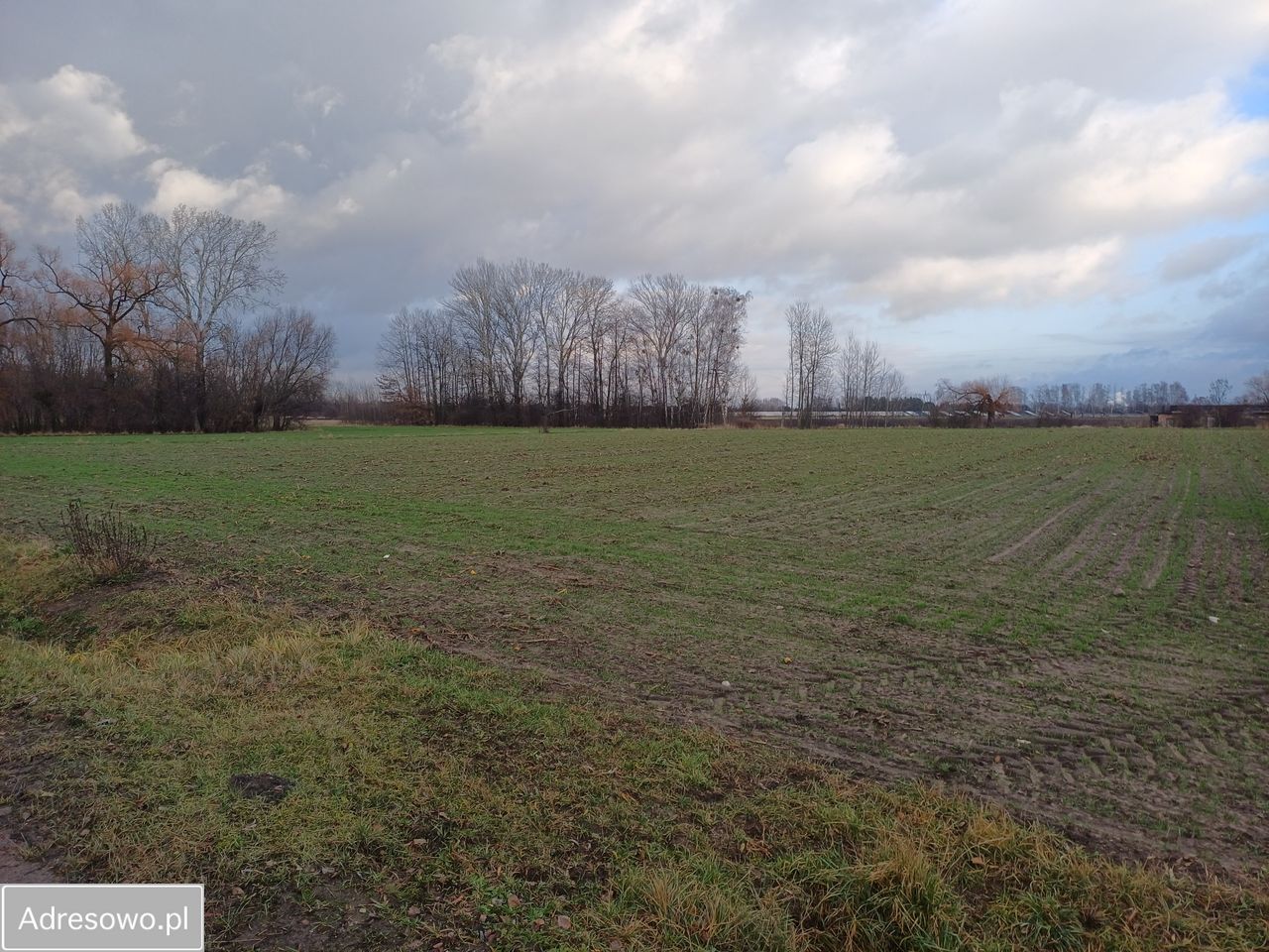 Działka rolna Kozery Nowe, ul. Popławska