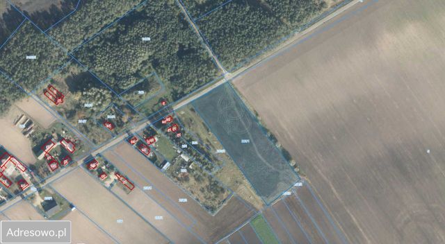 Działka rolno-budowlana Kaźmierki. Zdjęcie 1