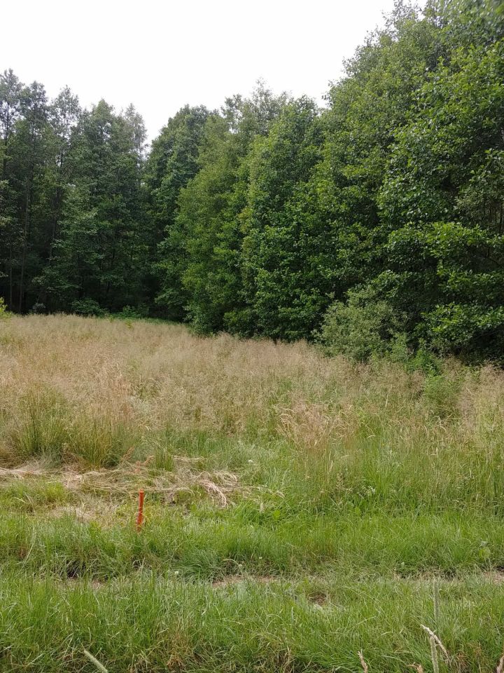 Działka rolno-budowlana Kąty Czernickie. Zdjęcie 3