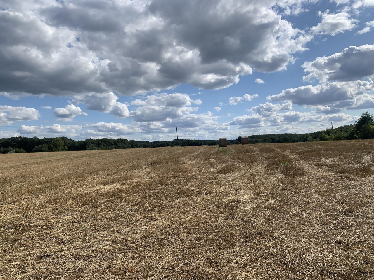 Działka budowlana Wińsko, ul. Wincentego Witosa. Zdjęcie 6