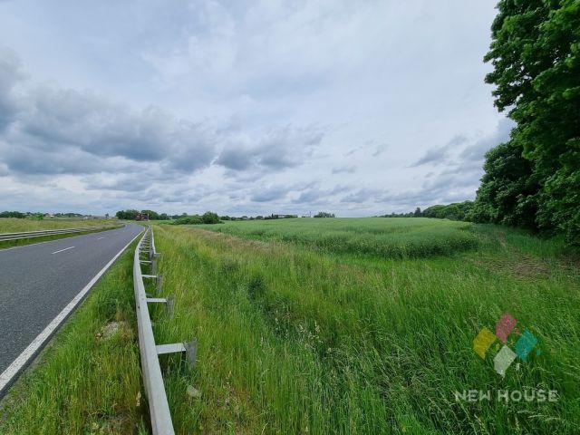 Działka inwestycyjna Królikowo. Zdjęcie 5