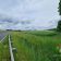 Działka inwestycyjna Królikowo. Zdjęcie 5