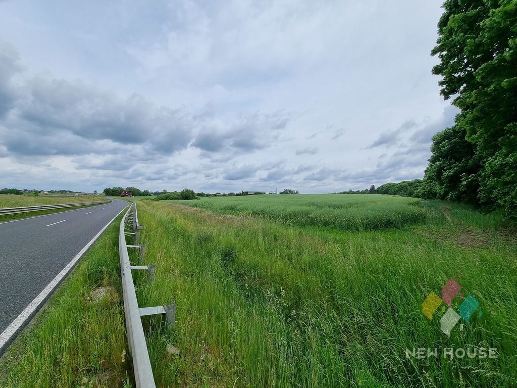 Działka inwestycyjna Królikowo. Zdjęcie 5