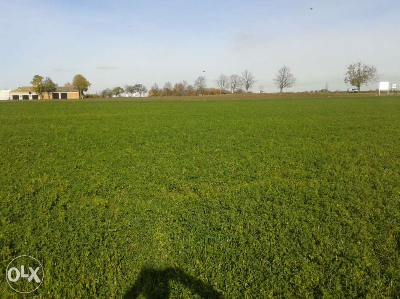 Działka rolna Grzywna. Zdjęcie 8