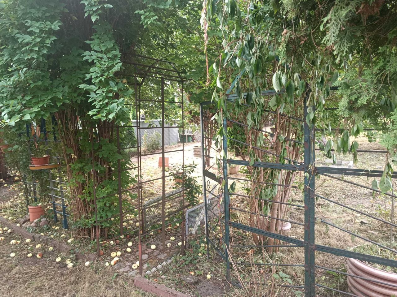 Działka rod Koronowo. Zdjęcie 6