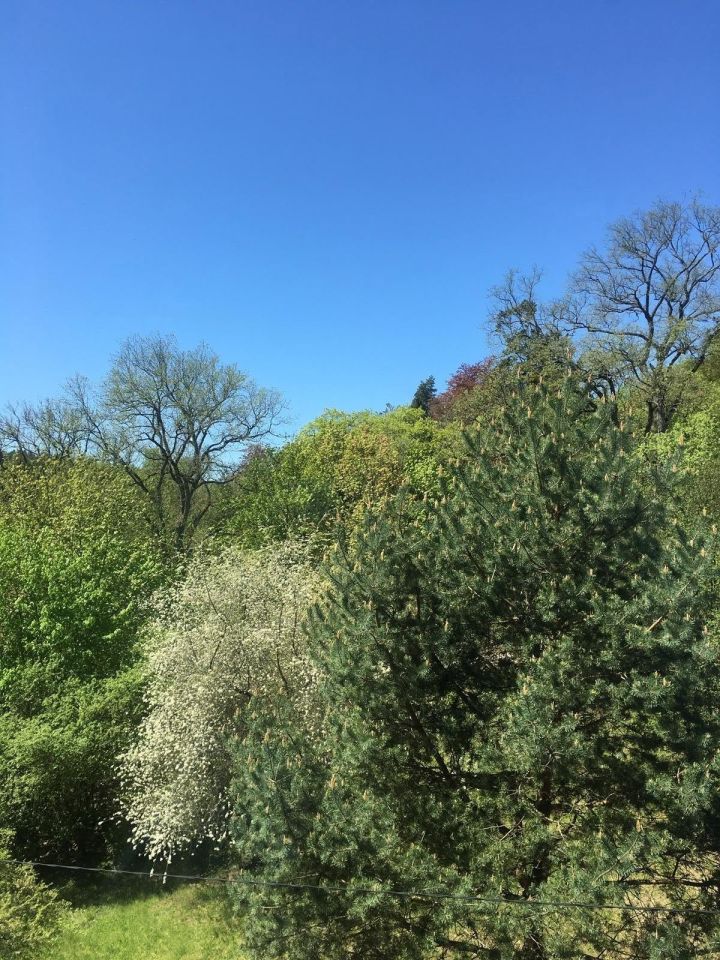 Mieszkanie 3-pokojowe Sopot Sopot Górny, ul. Jacka Malczewskiego. Zdjęcie 13