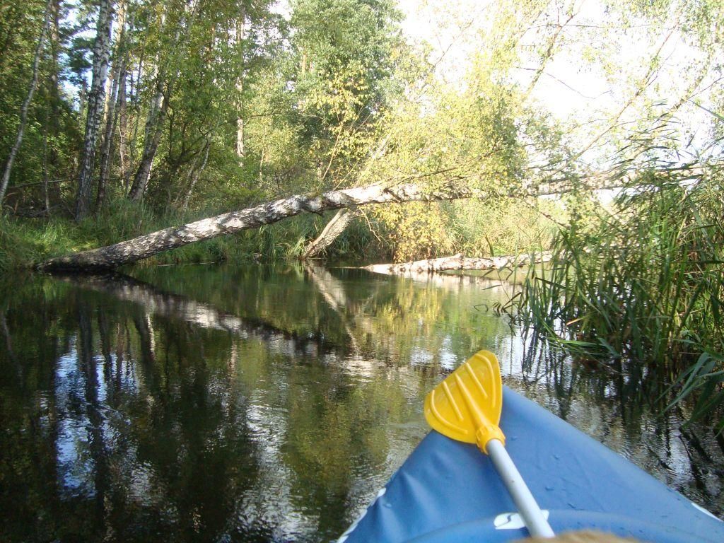 Działka rolna Dębki. Zdjęcie 16