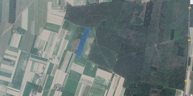 Działka rolna Nieborzyn. Zdjęcie 1