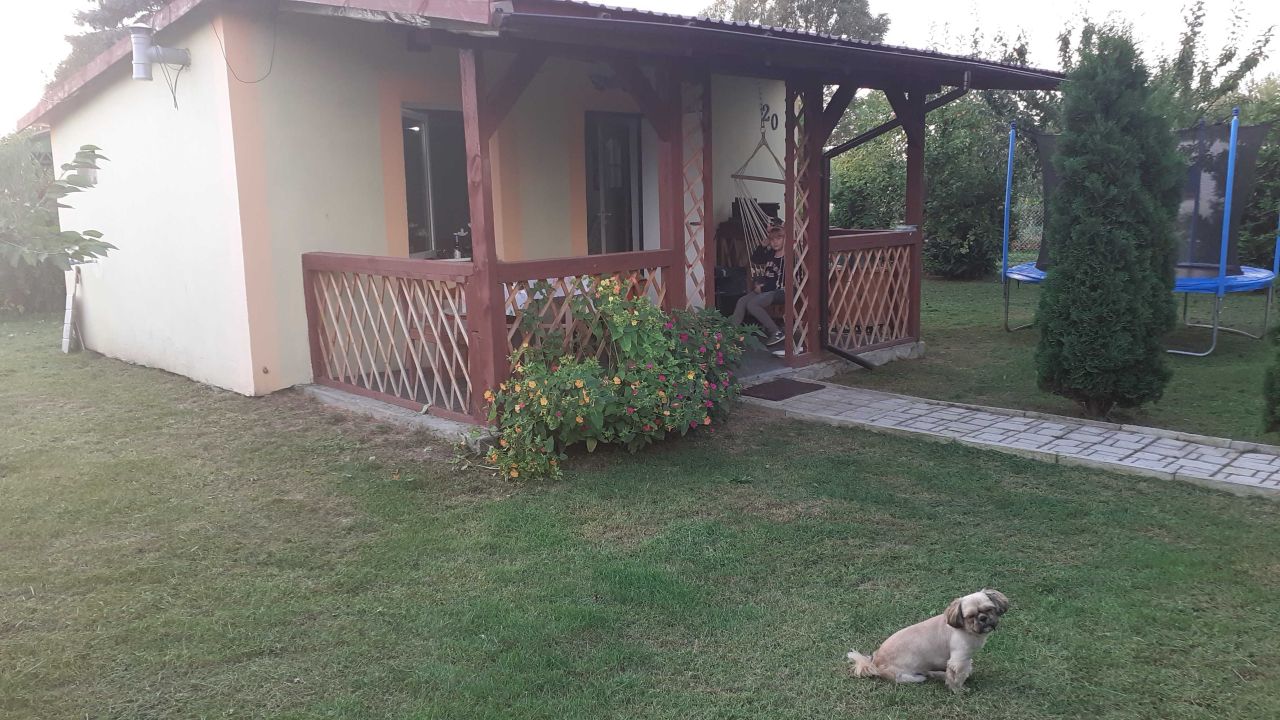 Działka rod Żychlin. Zdjęcie 6