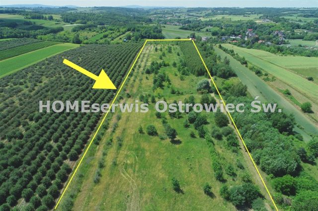 Działka Ostrowiec Świętokrzyski Częstocice. Zdjęcie 3