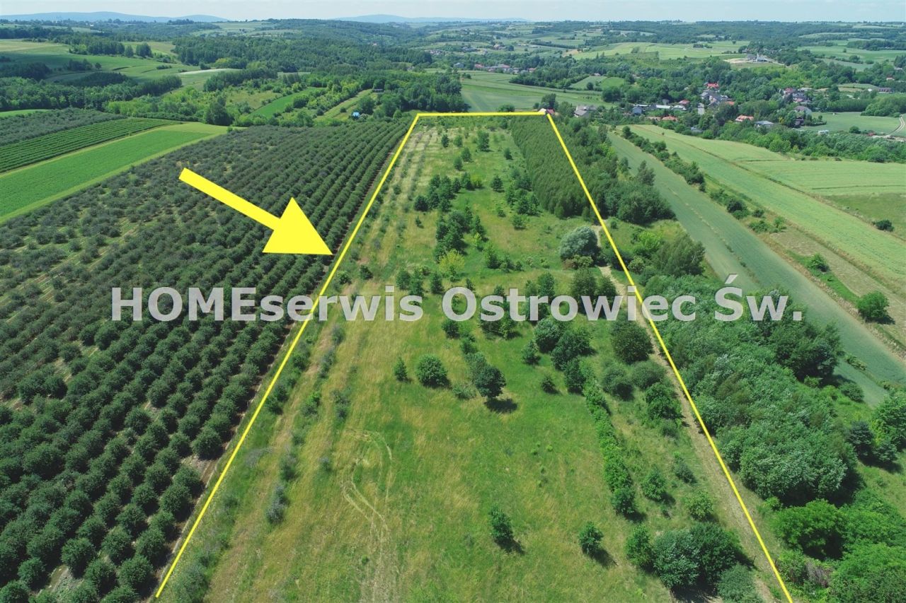 Działka Ostrowiec Świętokrzyski Częstocice. Zdjęcie 3