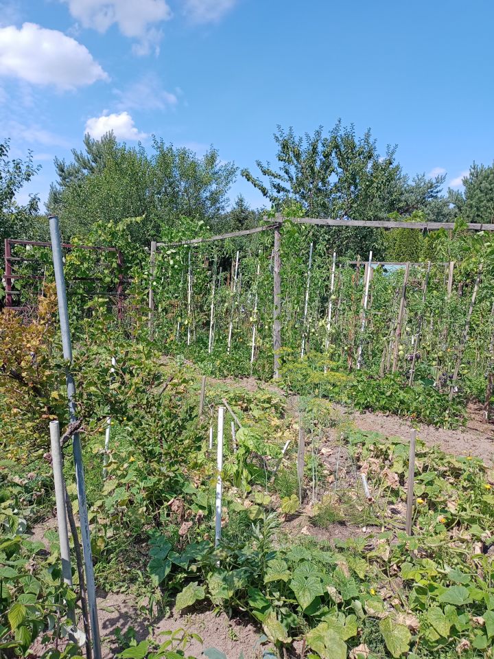 Działka rekreacyjna Wrocław Bierdzany, ul. Nizinna. Zdjęcie 18