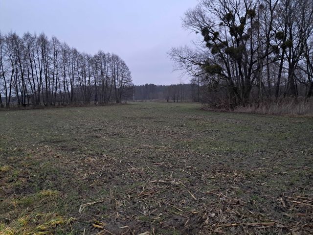 Działka rolno-budowlana Młyniec Drugi. Zdjęcie 1