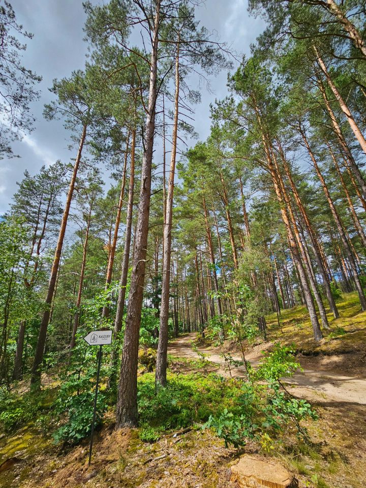 dom letniskowy, 2 pokoje Skorzewo. Zdjęcie 25