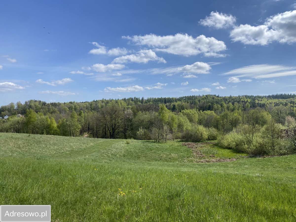 Działka budowlana Prokowo. Zdjęcie 3