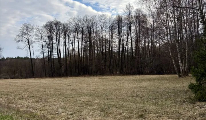 Działka rolna Rogowo-Kolonia