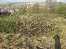 Działka rolna Błażowa Miasto, ul. Jagiellońska. Zdjęcie 3
