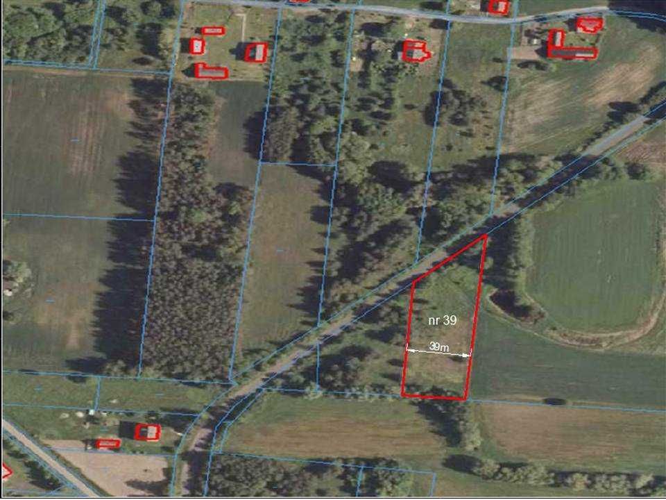 Działka rolno-budowlana Korzeń Królewski. Zdjęcie 2