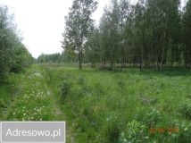 Działka budowlana Żelazowa Wola. Zdjęcie 1