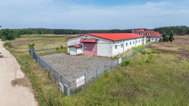 Lokal Brzeźnik. Zdjęcie 10