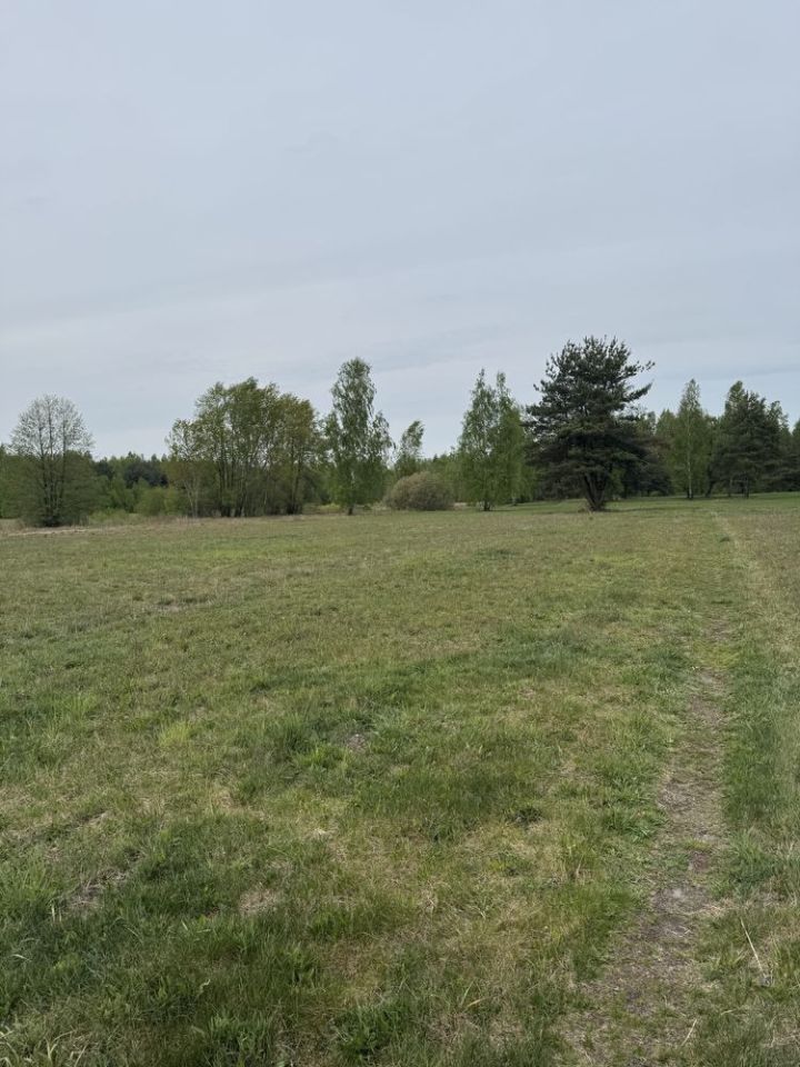 Działka rolno-budowlana Prace Małe. Zdjęcie 7