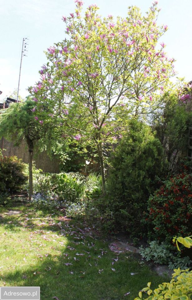 bliźniak, 6 pokoi Poznań Smochowice, ul. Pniewska. Zdjęcie 12