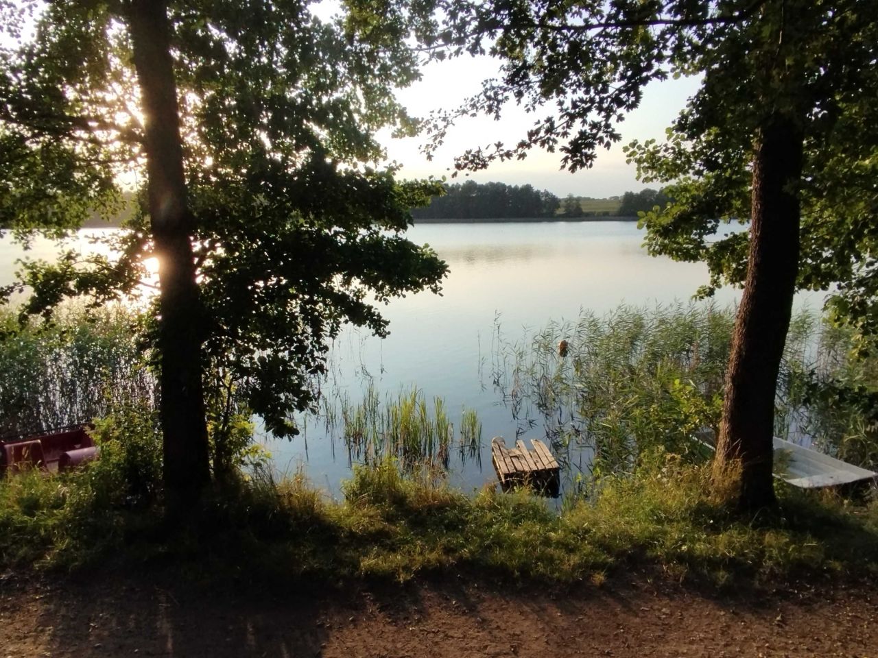 Działka rod Ryn. Zdjęcie 8